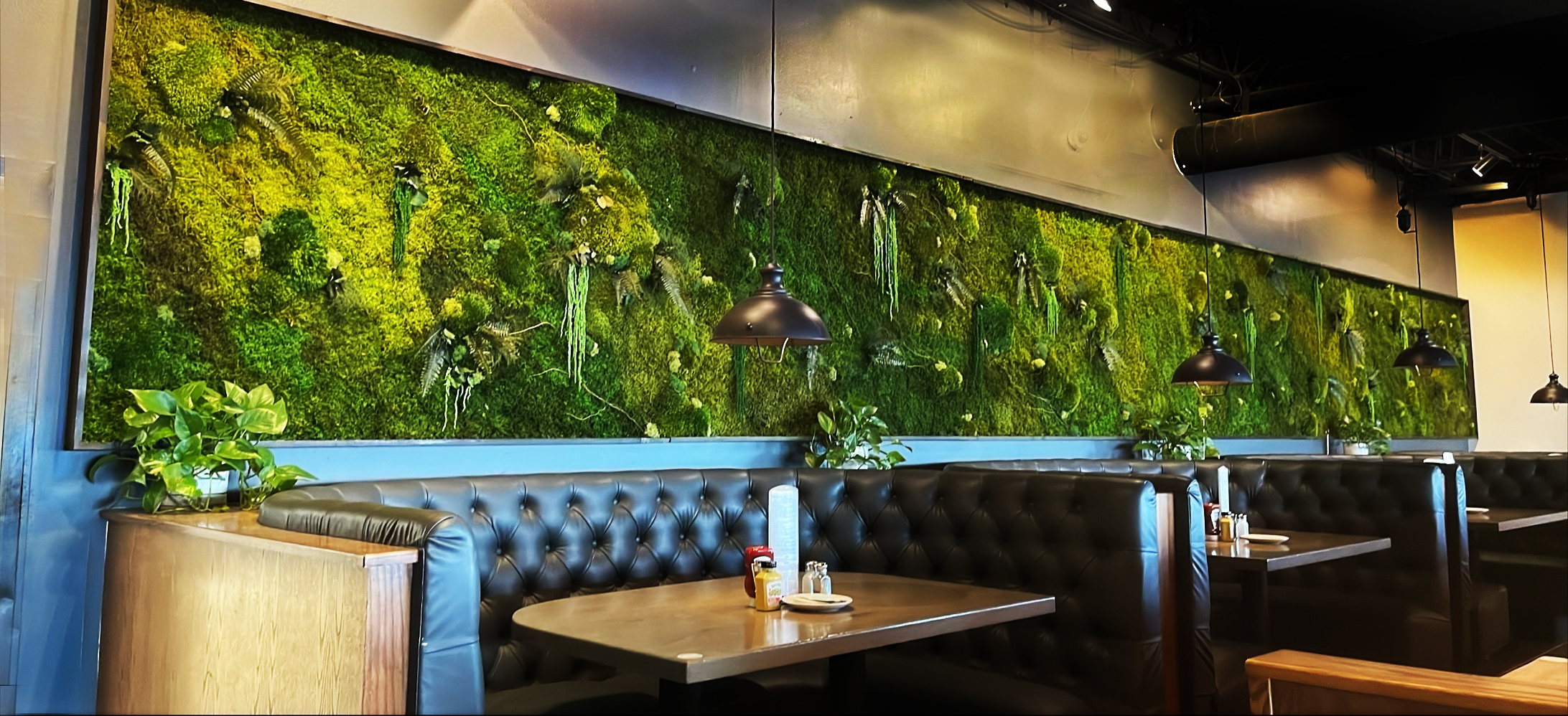 Moss Wall 49th State Brewing Anchorage